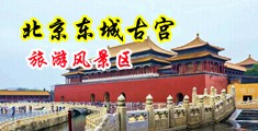 欧美视频老女人日逼中国北京-东城古宫旅游风景区